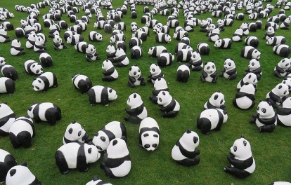 Pandas-PaoloGrangeon